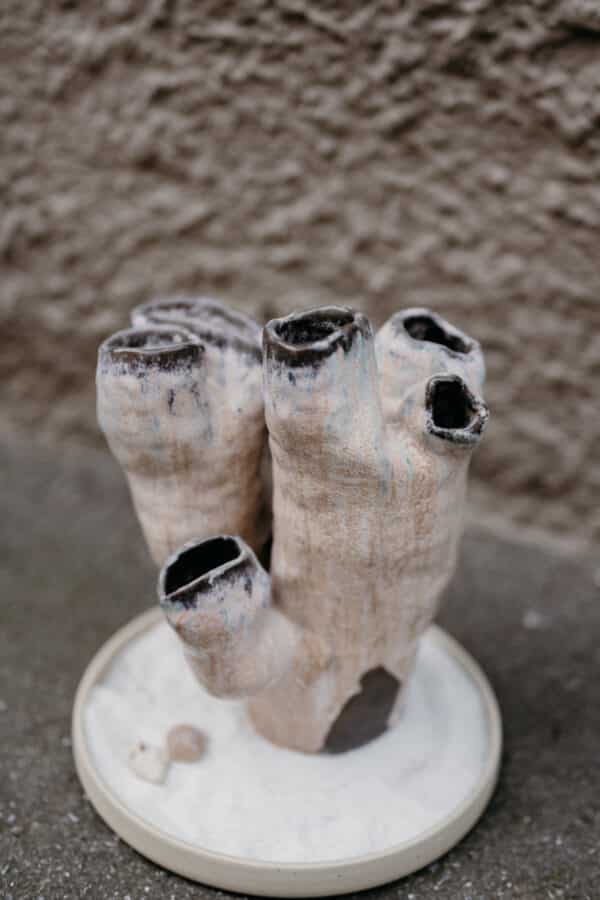 Korallenvase