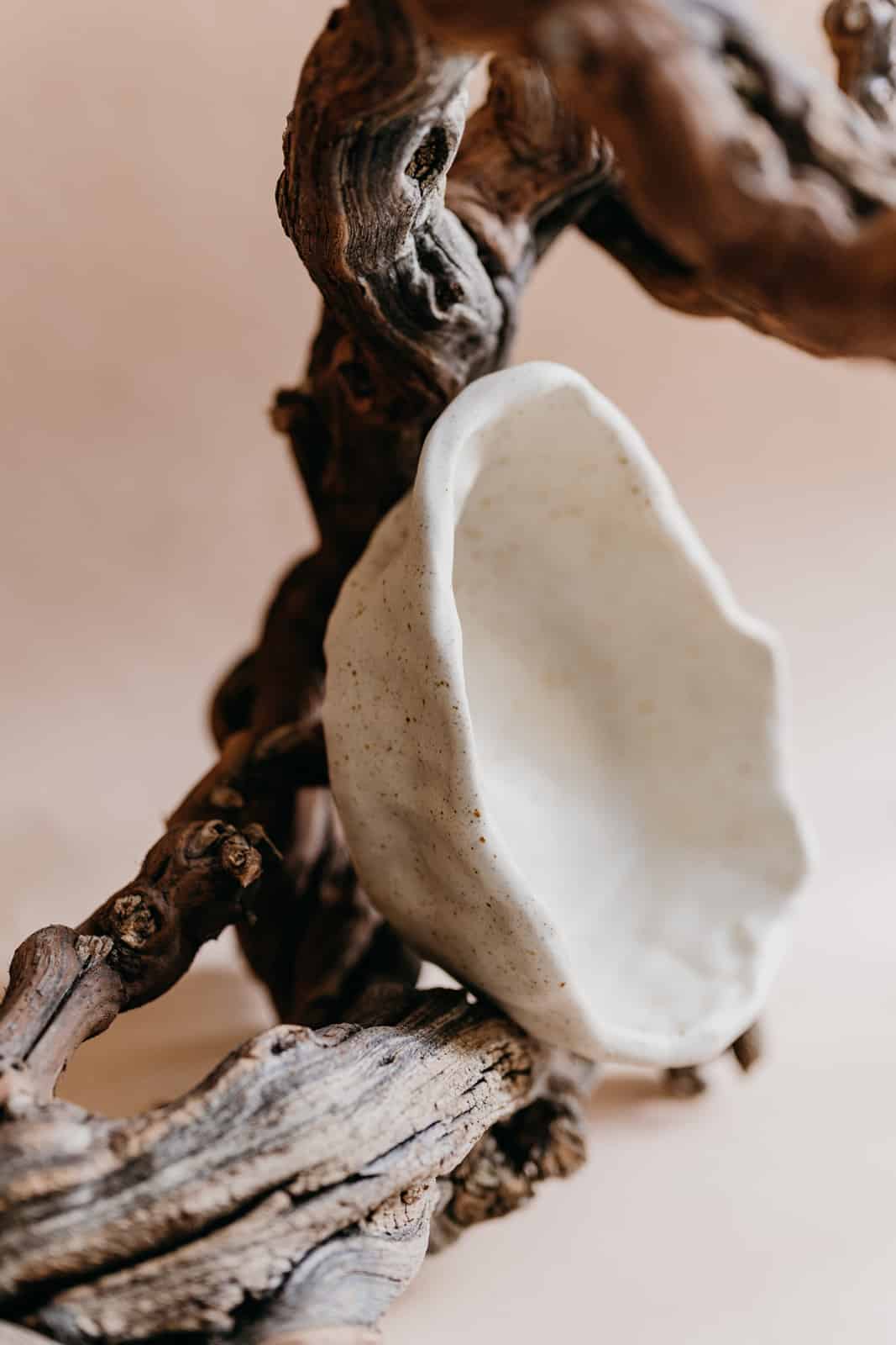 Organische Schale mit Handaufbau auf einer Weinrebe